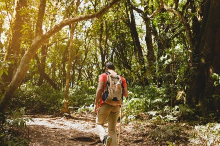 Curso de Ecoturismo y Anfitrión turístico